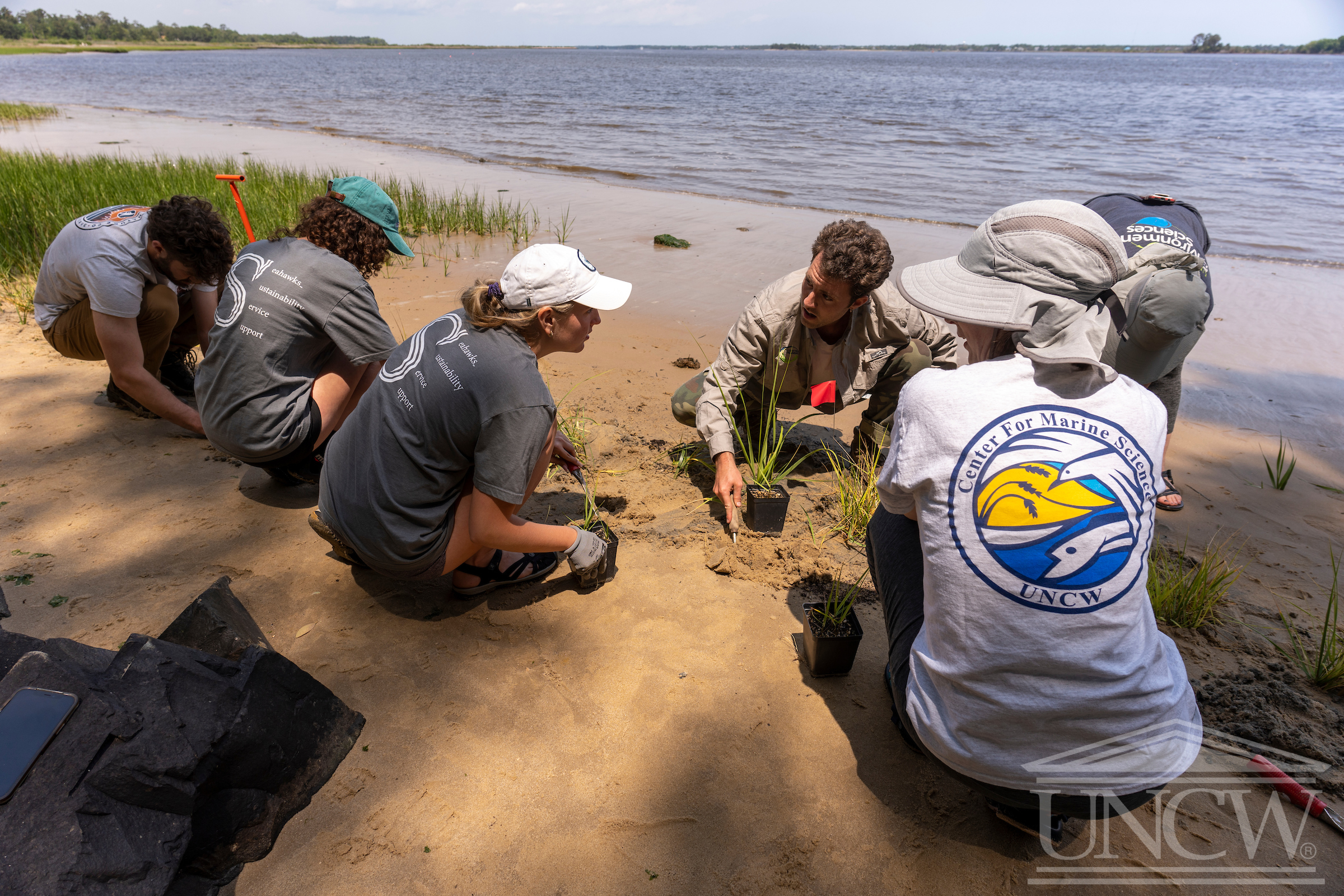 Student research experience featured photo